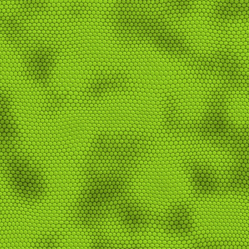 Текстура лягушки