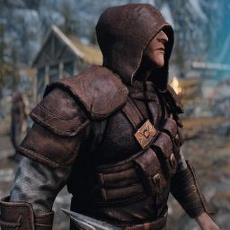 Скайрим броня гильдии воров реплейсер