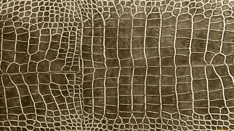 Крокодиловая кожа Альфа