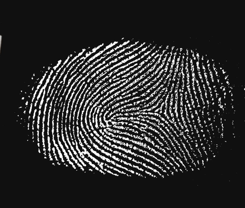 Отпечатки пальцев текстура