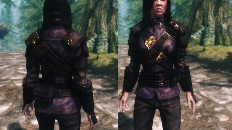 Скайрим реплейсер брони гильдии воров