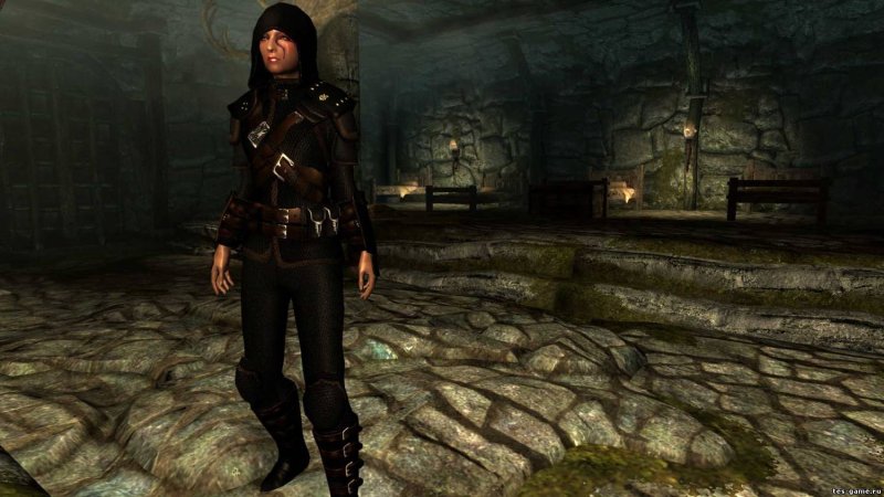 Реплейсер брони воров скайрим