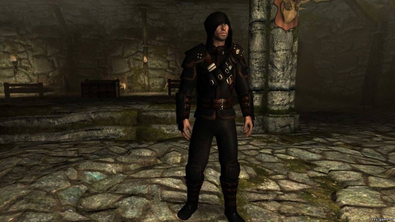 Скайрим реплейсер брони гильдии воров