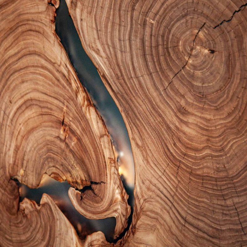 Карагач дерево слэб