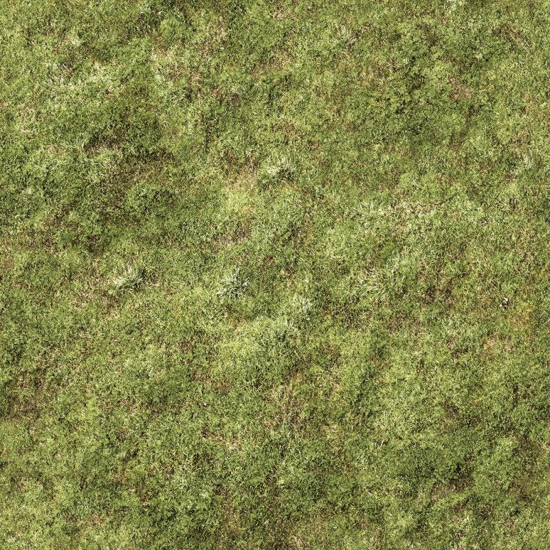 Текстура травы