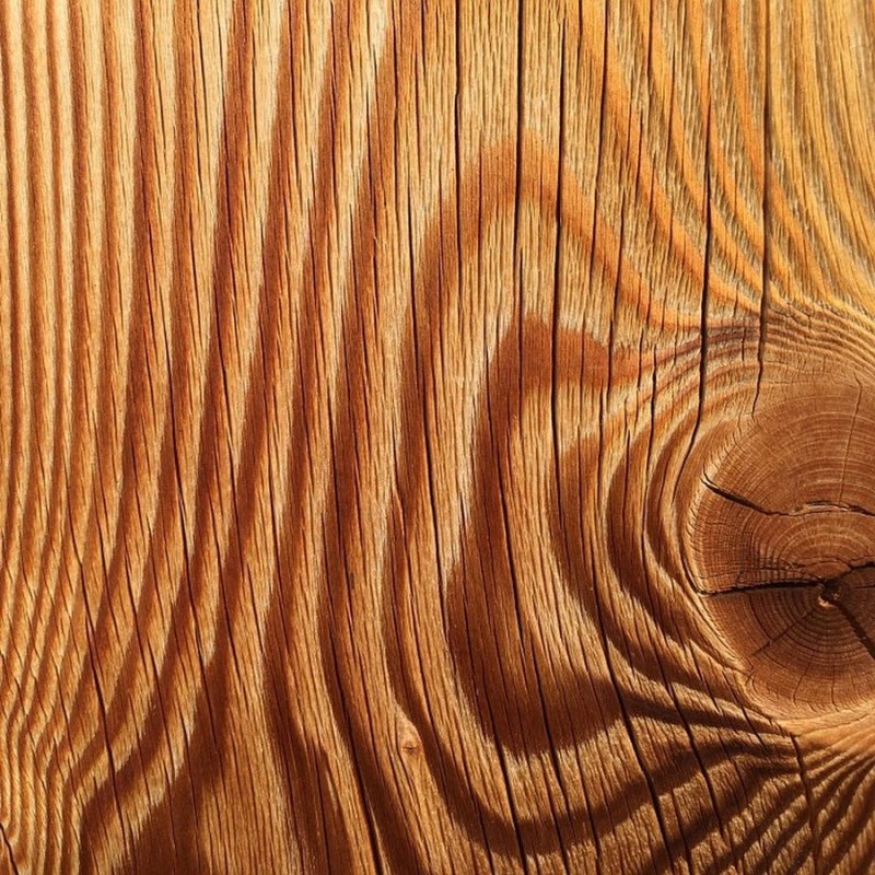 Текстура дерева