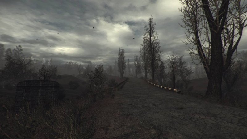 Сталкер Зов Припяти пейзажи