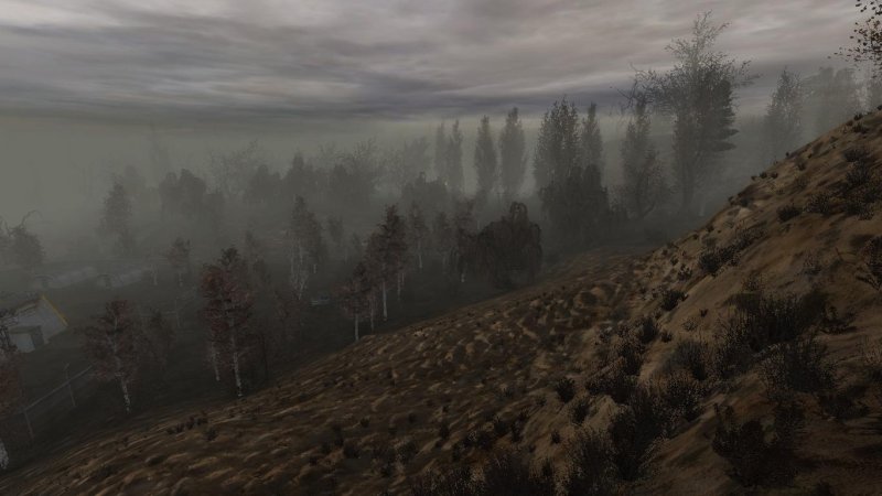 Сталкер билдовский янтарь