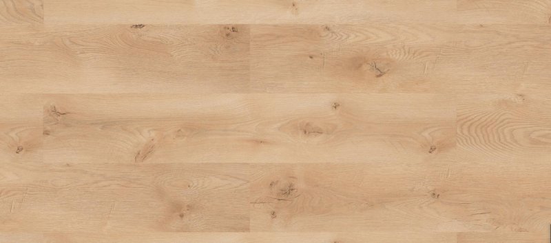 Дуб Эльзас 193