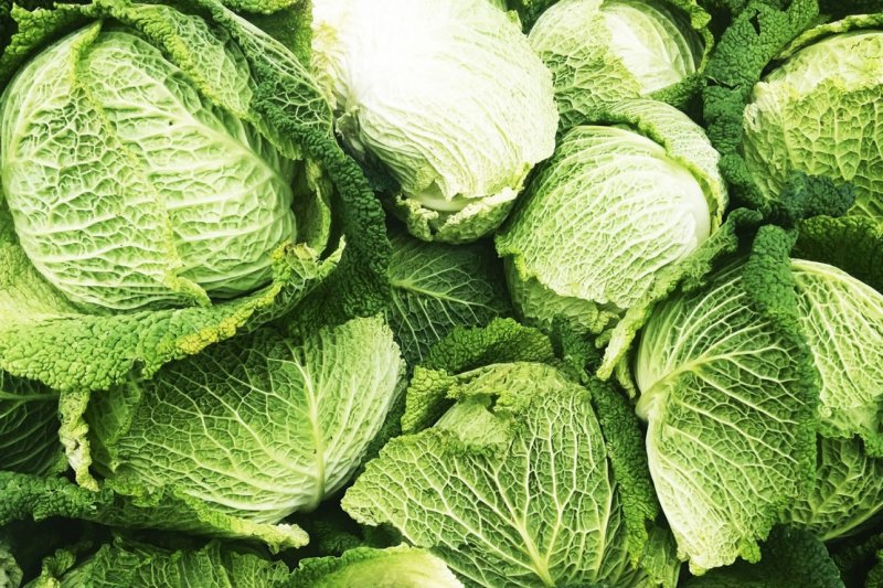 Савойская капуста семена