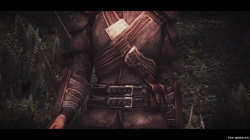 Скайрим броня вора