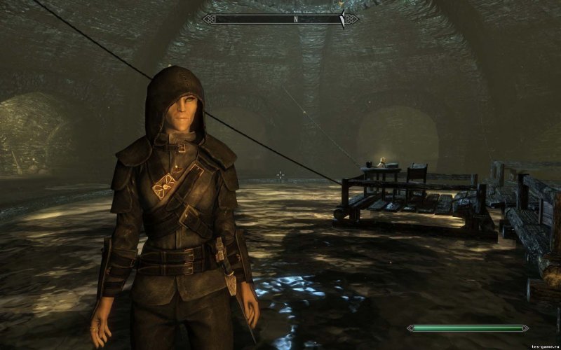 Скайрим реплейсер брони гильдии воров