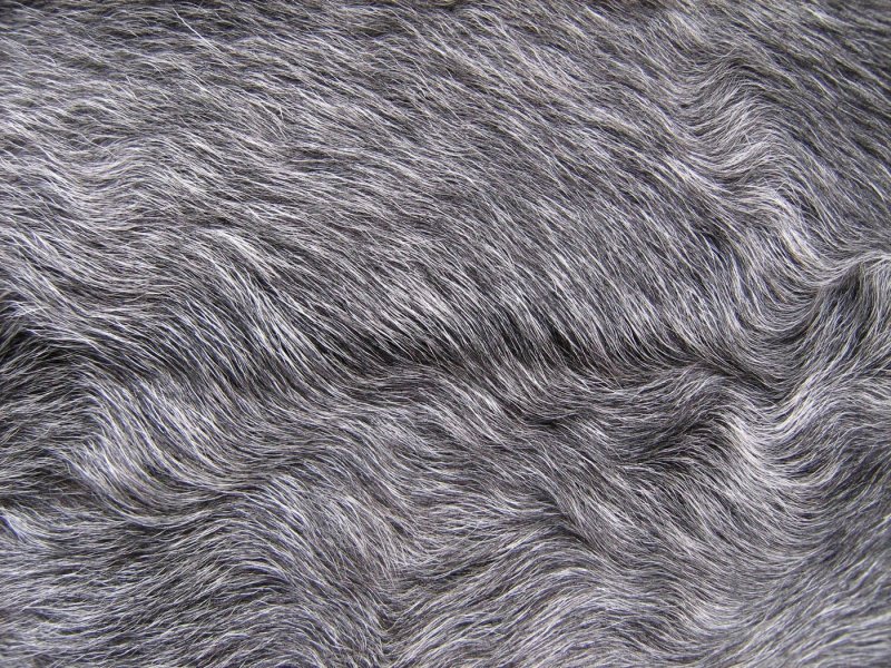 Шкура текстура