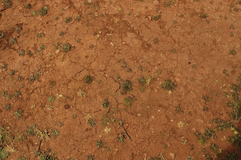 Текстура земли