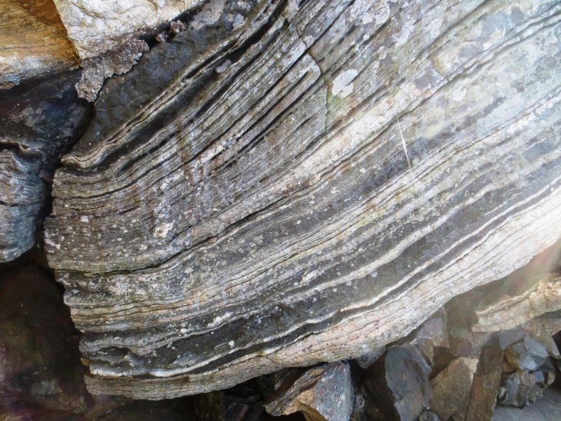 Гнейс метаморфическая Горная порода