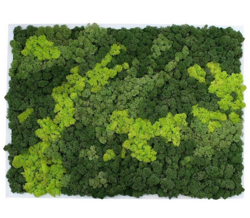 Сублимированный мох