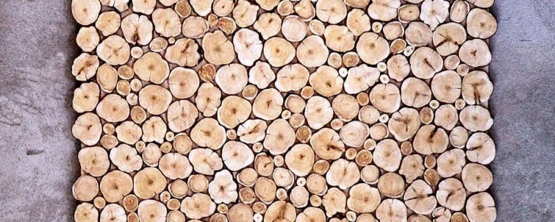 Срез можжевельника