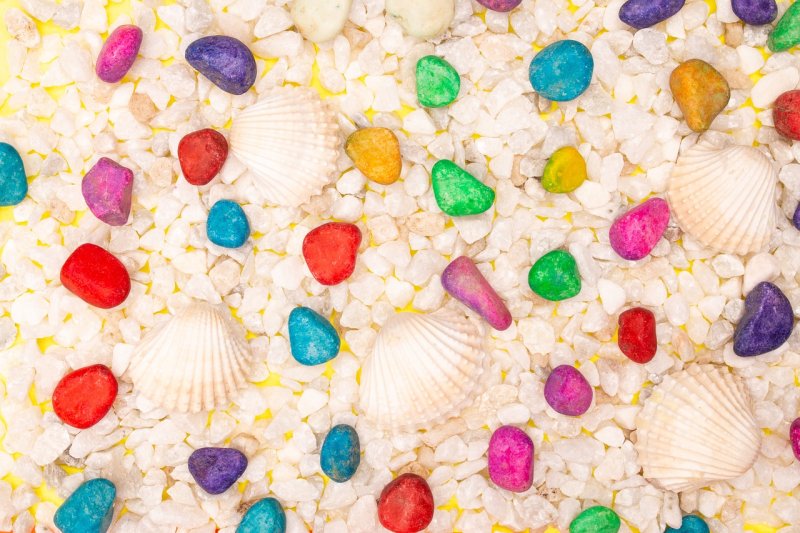 Текстура ракушки