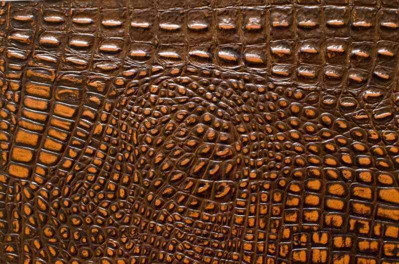Кожа крокодила текстура