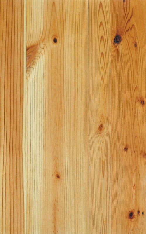 Текстура дерева