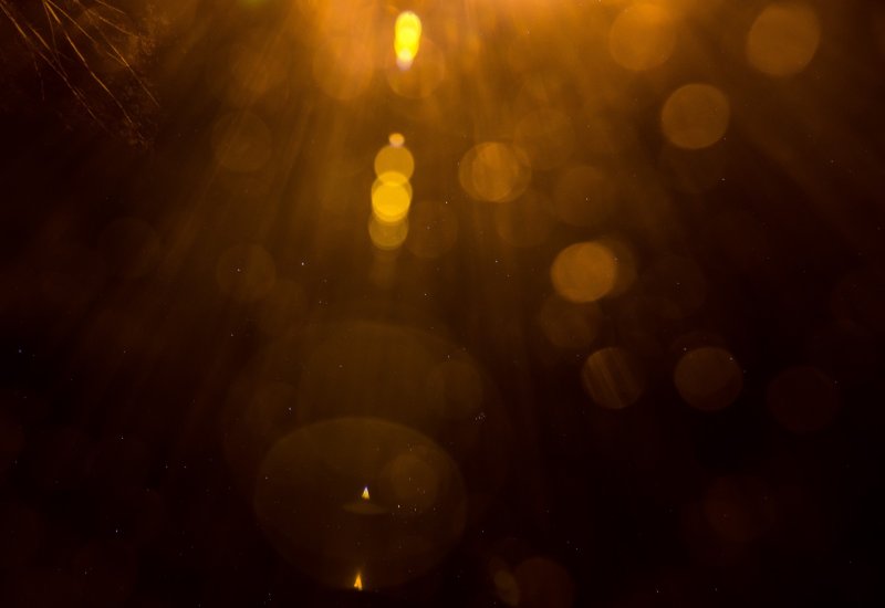 Блик солнца