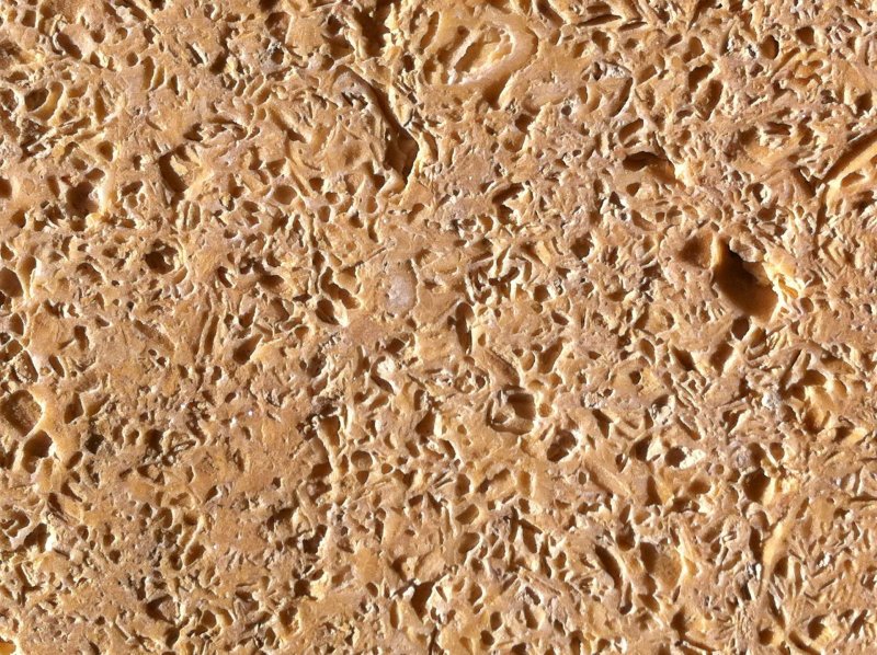 Ракушечник Дагестанский фактура камня