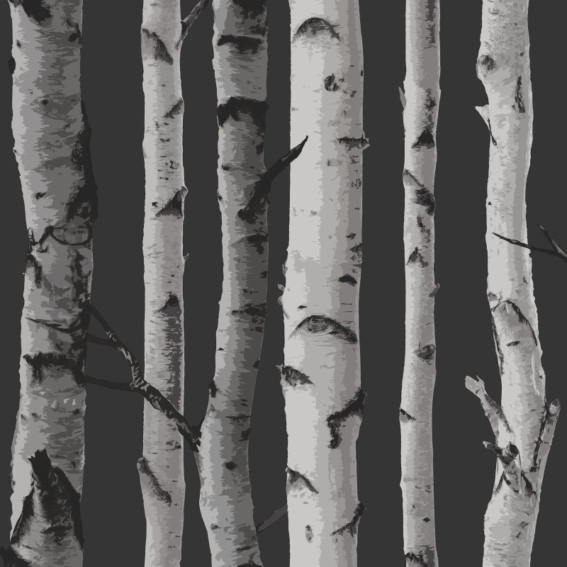 Grey Birch дерево