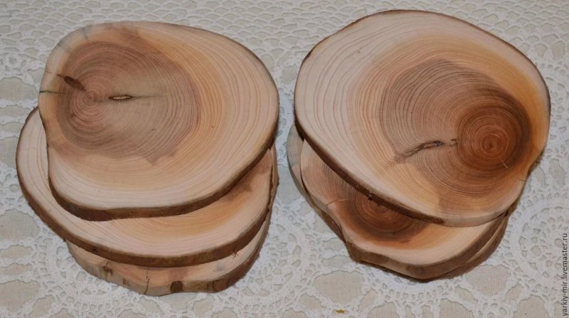 Сибирская лиственница годичные кольца