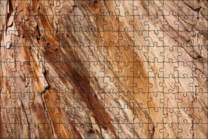 Кипарис древесина