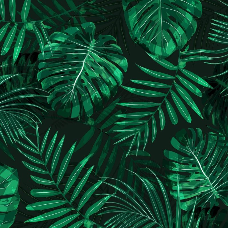 Тропические листья