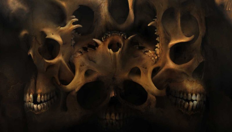 Текстура черепа