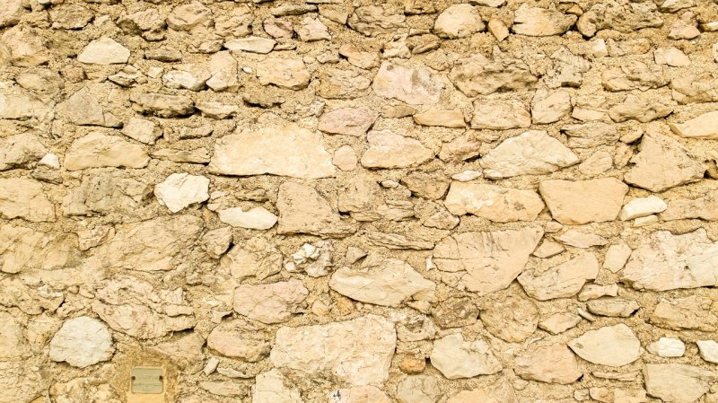 Известняк-ракушечник стена